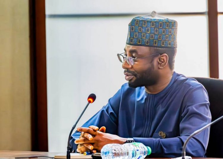 digital infrastructure for startups by DG NITDA
