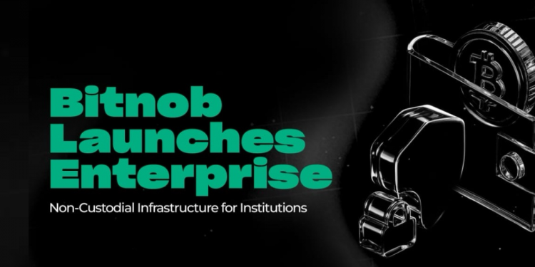 Bitnob Launches Enterprise