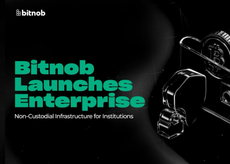 Bitnob Launches Enterprise