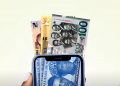 Nigeria unicorn startups