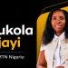MTN Nigeria Appoints Bukola Ajayi as CIO