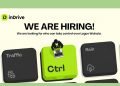 inDrive Chief Wahala Officer recruitment