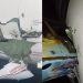 Air Peace and NAHCO