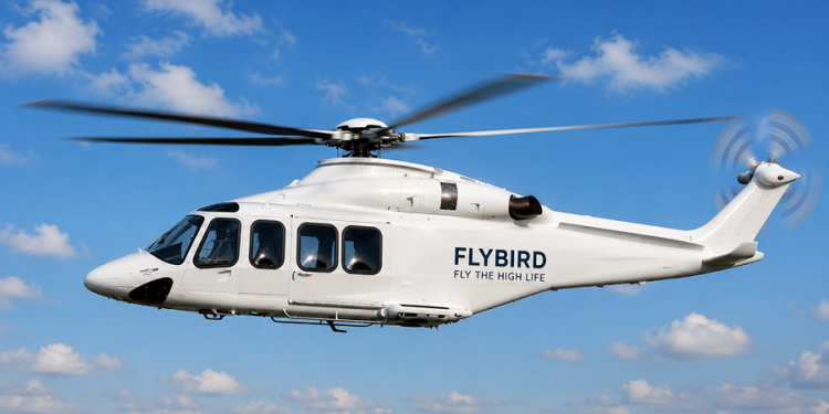 Flybird Group