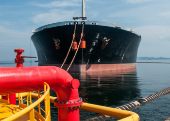 IPMAN against Petrolum import licences