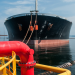IPMAN against Petrolum import licences