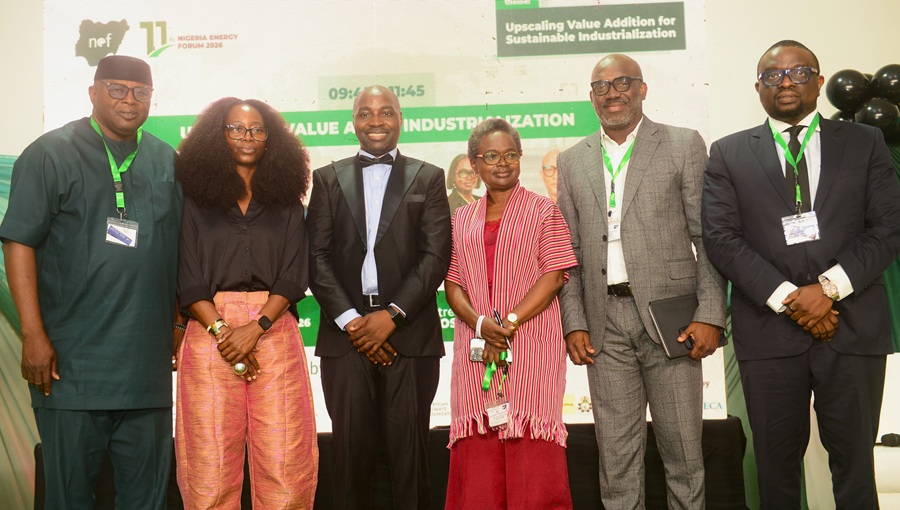 Energy Gaps Threaten Africa’s Financial Inclusion Drive, Interswitch’s Elegbe Says