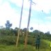 REA using Ai for Electrification