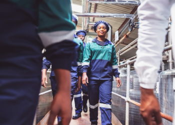 Swedfund investment in African SMEs